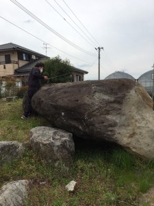 15976388762386