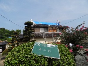 DSC01769